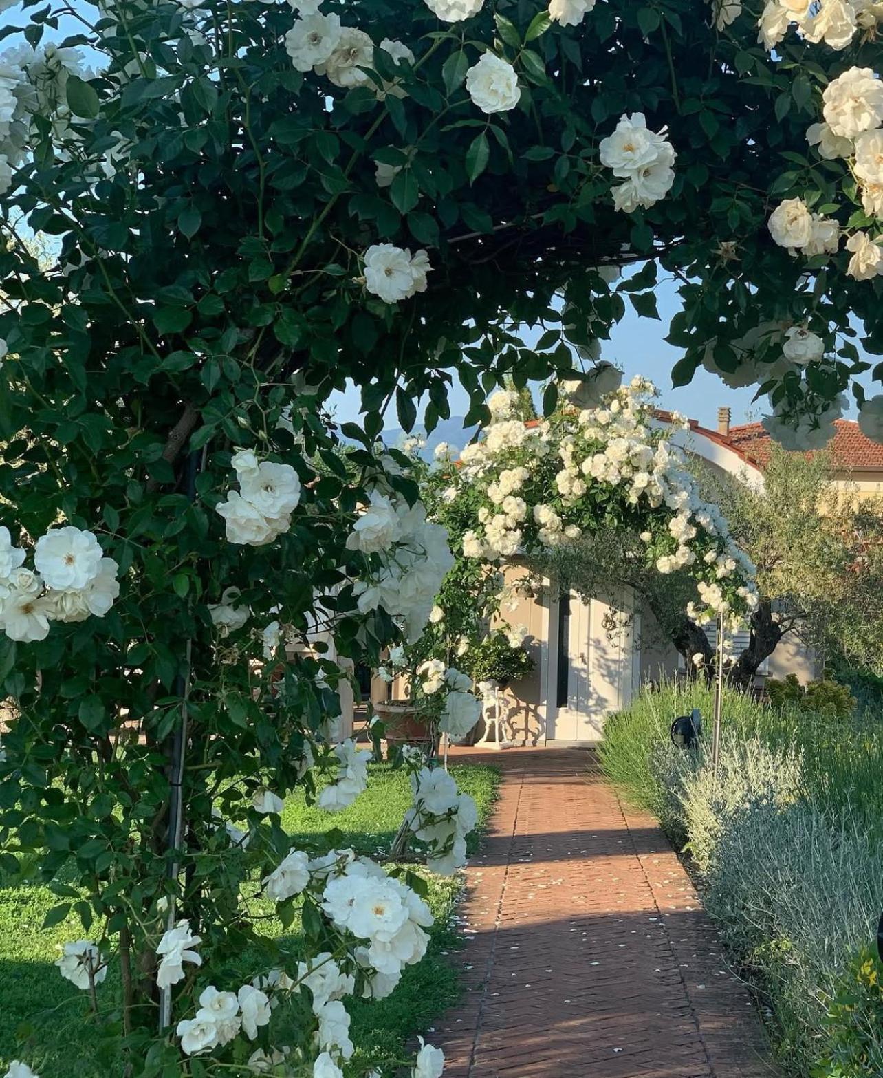 Casa Le Valli Cantagrillo Dış mekan fotoğraf
